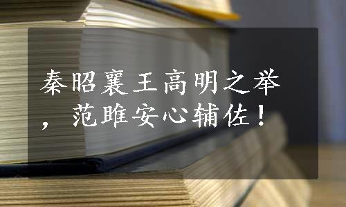 秦昭襄王高明之举，范雎安心辅佐！