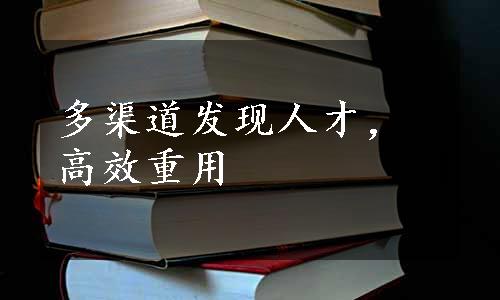 多渠道发现人才，高效重用