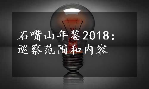 石嘴山年鉴2018：巡察范围和内容