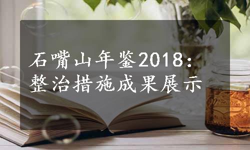 石嘴山年鉴2018：整治措施成果展示