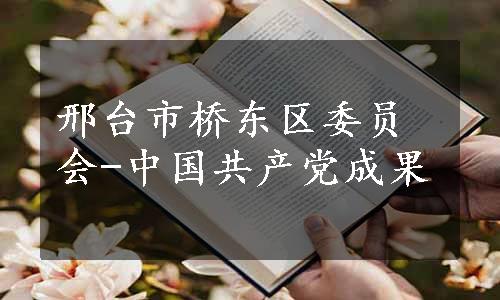 邢台市桥东区委员会-中国共产党成果