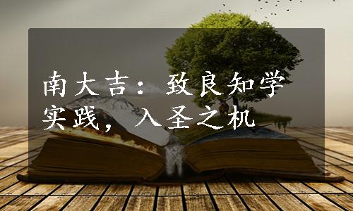 南大吉：致良知学实践，入圣之机