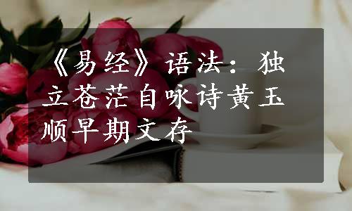 《易经》语法：独立苍茫自咏诗黄玉顺早期文存