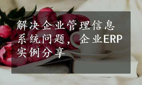 解决企业管理信息系统问题，企业ERP实例分享