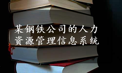 某钢铁公司的人力资源管理信息系统