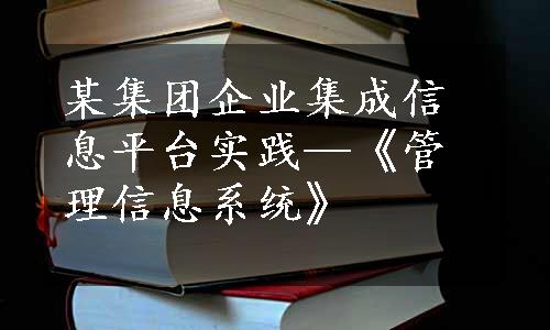 某集团企业集成信息平台实践—《管理信息系统》