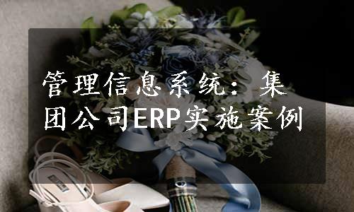 管理信息系统：集团公司ERP实施案例