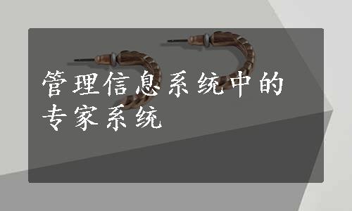 管理信息系统中的专家系统