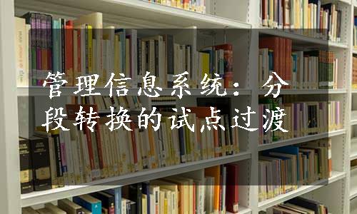 管理信息系统：分段转换的试点过渡