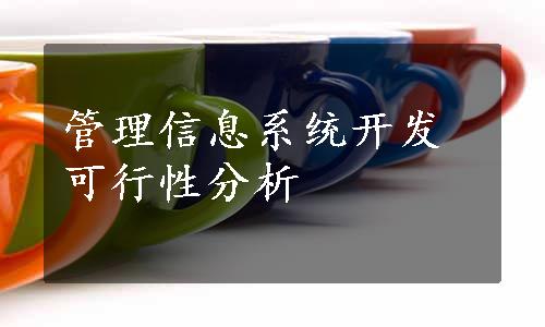 管理信息系统开发可行性分析