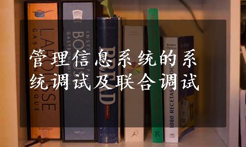 管理信息系统的系统调试及联合调试