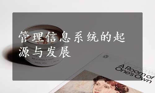 管理信息系统的起源与发展