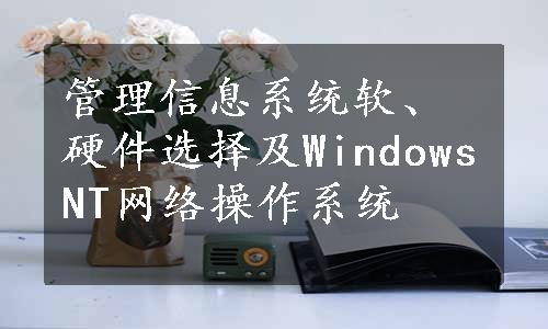 管理信息系统软、硬件选择及WindowsNT网络操作系统