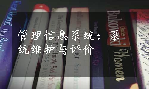 管理信息系统：系统维护与评价