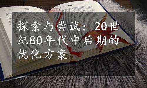 探索与尝试：20世纪80年代中后期的优化方案