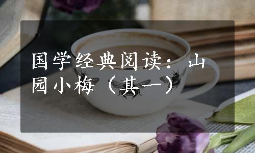 国学经典阅读：山园小梅（其一）