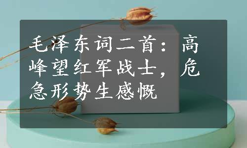 毛泽东词二首：高峰望红军战士，危急形势生感慨