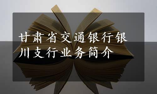 甘肃省交通银行银川支行业务简介