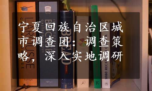 宁夏回族自治区城市调查团：调查策略，深入实地调研