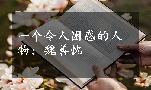 一个令人困惑的人物：魏善忱