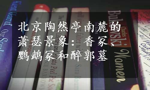 北京陶然亭南麓的萧瑟景象：香冢、鹦鹉冢和醉郭墓