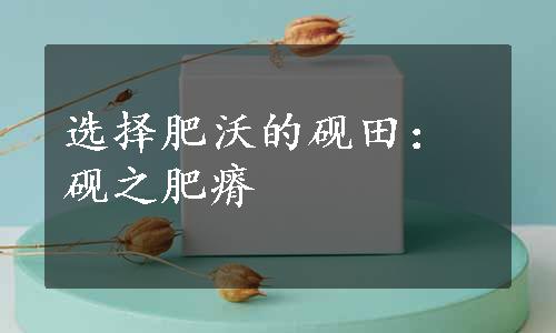 选择肥沃的砚田：砚之肥瘠