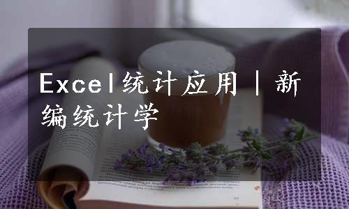 Excel统计应用｜新编统计学