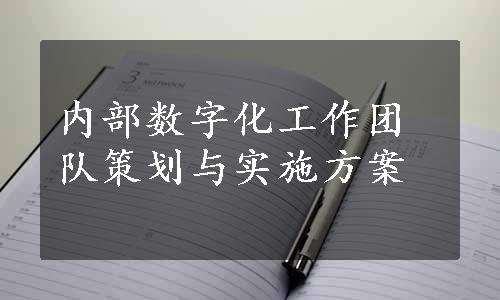 内部数字化工作团队策划与实施方案