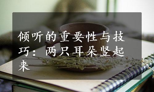 倾听的重要性与技巧：两只耳朵竖起来