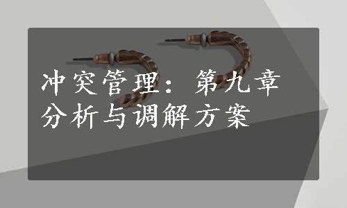 冲突管理：第九章分析与调解方案