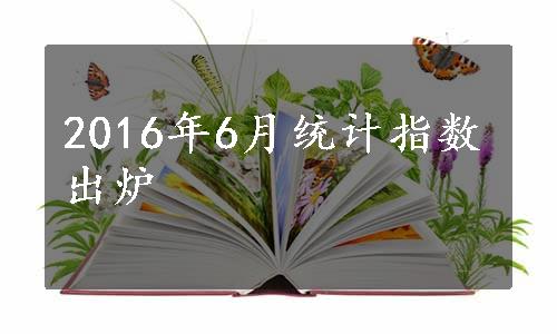 2016年6月统计指数出炉