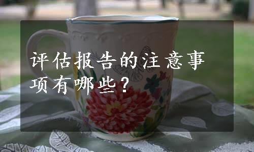 评估报告的注意事项有哪些？