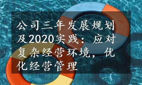 公司三年发展规划及2020实践：应对复杂经营环境，优化经营管理