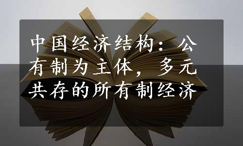 中国经济结构：公有制为主体，多元共存的所有制经济