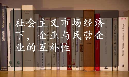 社会主义市场经济下，企业与民营企业的互补性