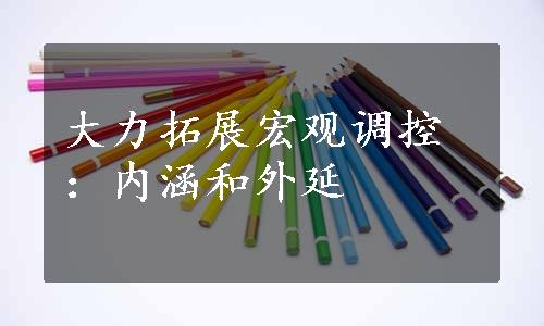 大力拓展宏观调控：内涵和外延