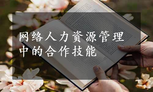 网络人力资源管理中的合作技能