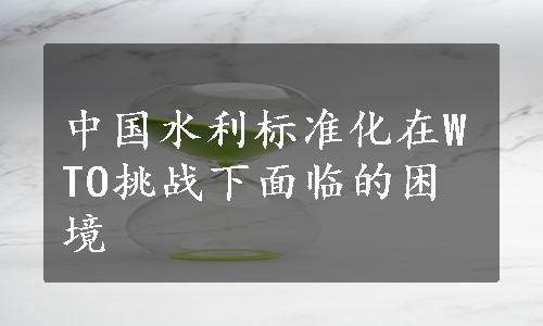 中国水利标准化在WTO挑战下面临的困境