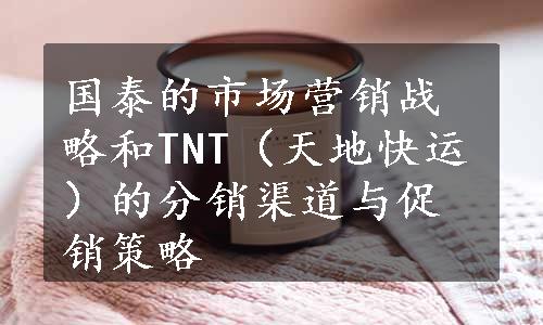 国泰的市场营销战略和TNT（天地快运）的分销渠道与促销策略