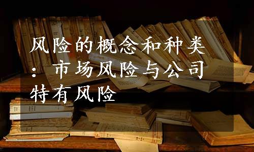 风险的概念和种类：市场风险与公司特有风险