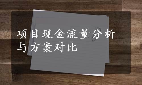 项目现金流量分析与方案对比