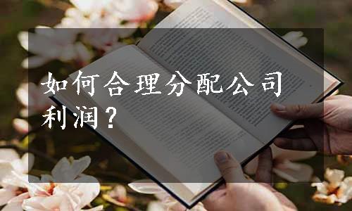 如何合理分配公司利润？