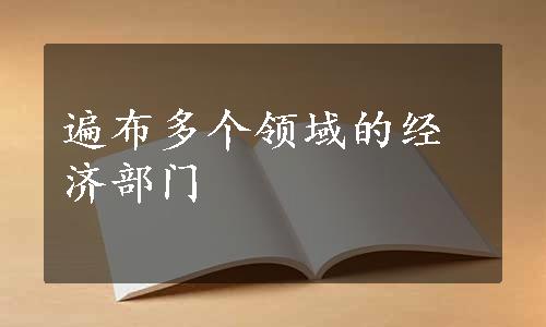 遍布多个领域的经济部门