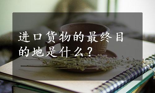 进口货物的最终目的地是什么？