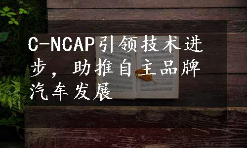 C-NCAP引领技术进步，助推自主品牌汽车发展