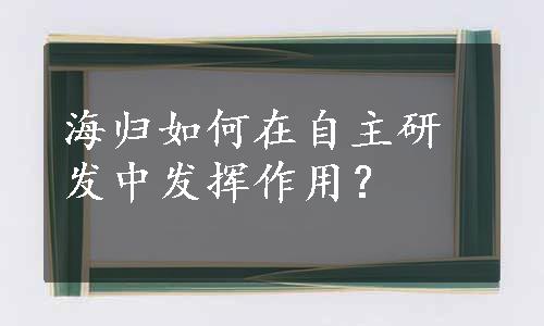 海归如何在自主研发中发挥作用？