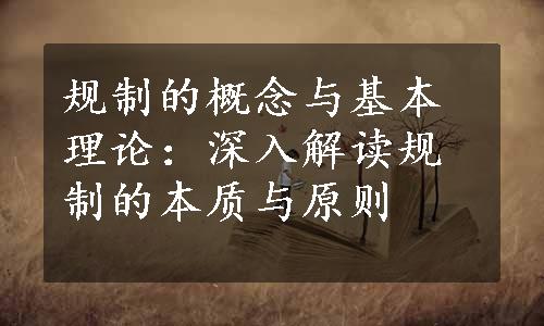 规制的概念与基本理论：深入解读规制的本质与原则