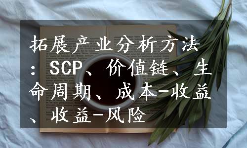 拓展产业分析方法：SCP、价值链、生命周期、成本-收益、收益-风险