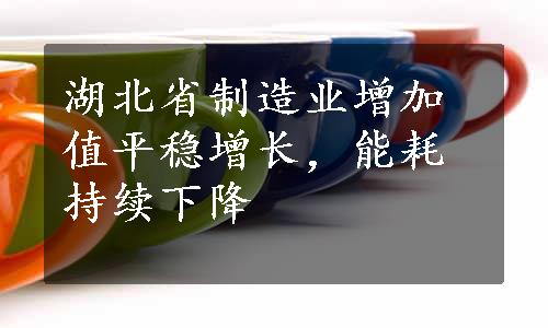 湖北省制造业增加值平稳增长，能耗持续下降