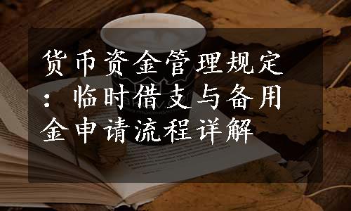 货币资金管理规定：临时借支与备用金申请流程详解